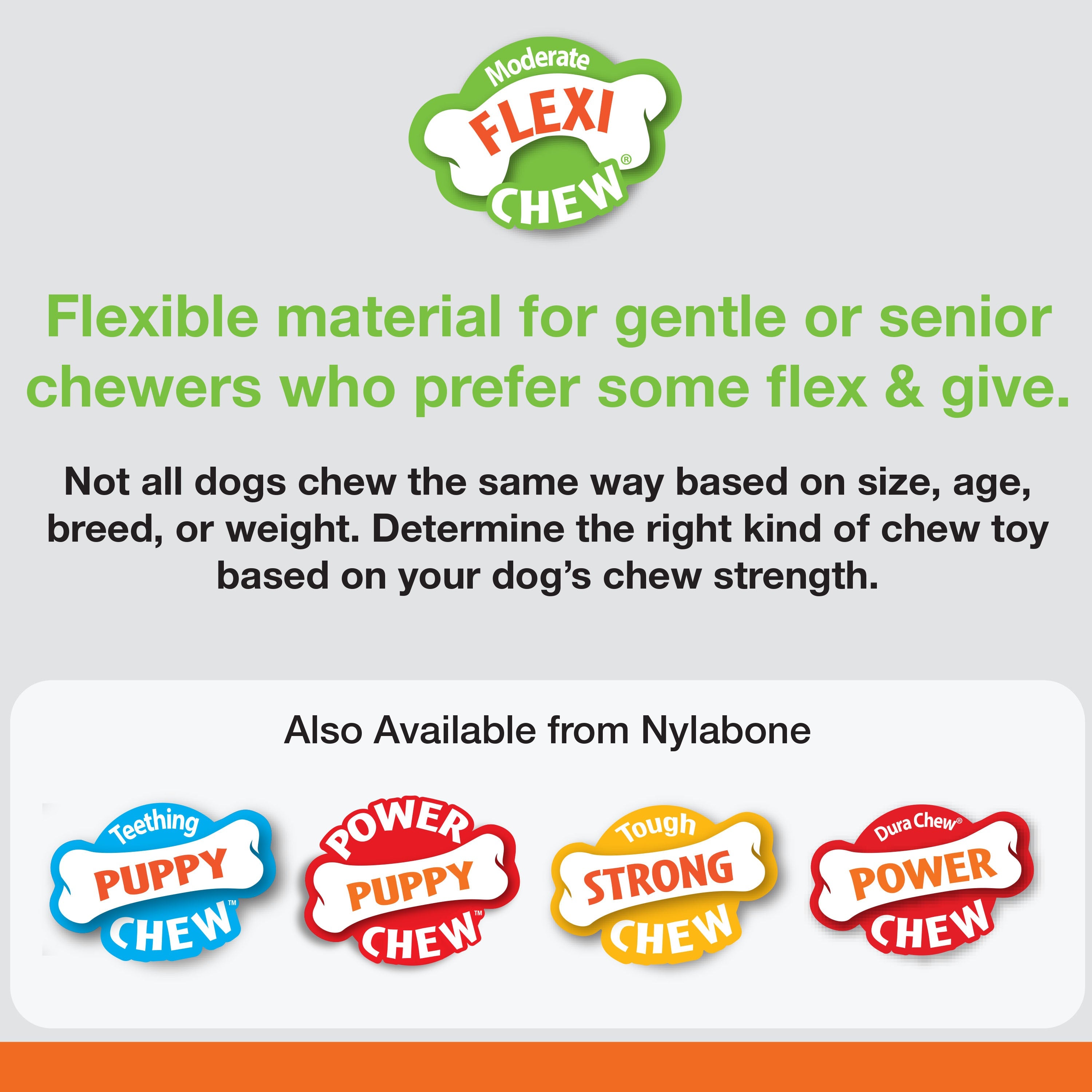 Nylabone Moderate Chew Textured Dog Dental Chew Toy Chicken, Blue