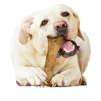 Nylabone Healthy Edibles AllNatural Long Lasting Chicken Dog Chew Treats Chicken, XL/Souper  50 Lbs. 1 ct