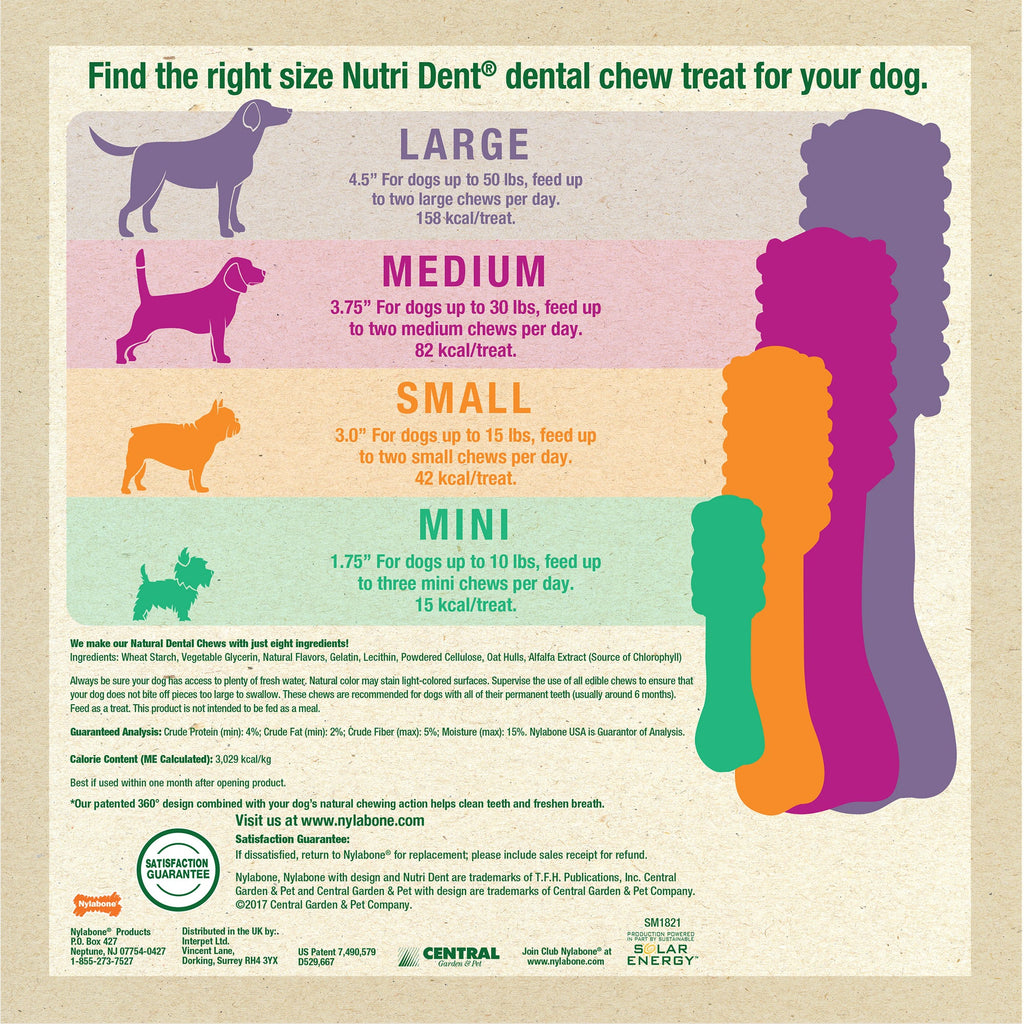 Nylabone Nutri Dent SIMPLE Natural Dental Fresh Breath Flavored Chew Treats 1ea/SMall, 12 ct