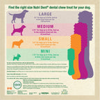Nylabone Nutri Dent SIMPLE Natural Dental Fresh Breath Flavored Chew Treats 1ea/Medium, 8 ct