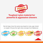 Nylabone Power Chew Femur Dog Bone Alternative Bacon 1ea/Large/Giant - Up To 50 lb
