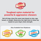 Nylabone Power Chew Giant Marrow Bone Alternative Beef Flavor Dog Chew Toy Beef 1ea/Large/Giant - Up To 50 lb