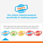 Nylabone Puppy Dental Dinosaur Chew Toy for Teething Puppies Dino Chicken Blue 1ea/SMall/Regular - Up To 25 Ibs.