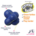 Nylabone Power Play Ball for Dogs Crazy Ball 1ea/Large/Giant - Up To 50 lb