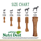 Nylabone Nutri Dent Filet Mignon Dog Dental Chews Filet Mignon 1ea/XL/Souper - 50+ lb