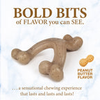 Nylabone Gourmet Style Strong Wishbone Puppy Chew Toy Peanut Butter 1ea/SMall/Regular - Up To 25 Ibs.
