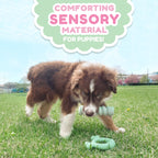 Nylabone Sensory Material Puppy Teething Stick Peanut Butter, 1ea/ Small/Regular - Up To 25 Ibs.