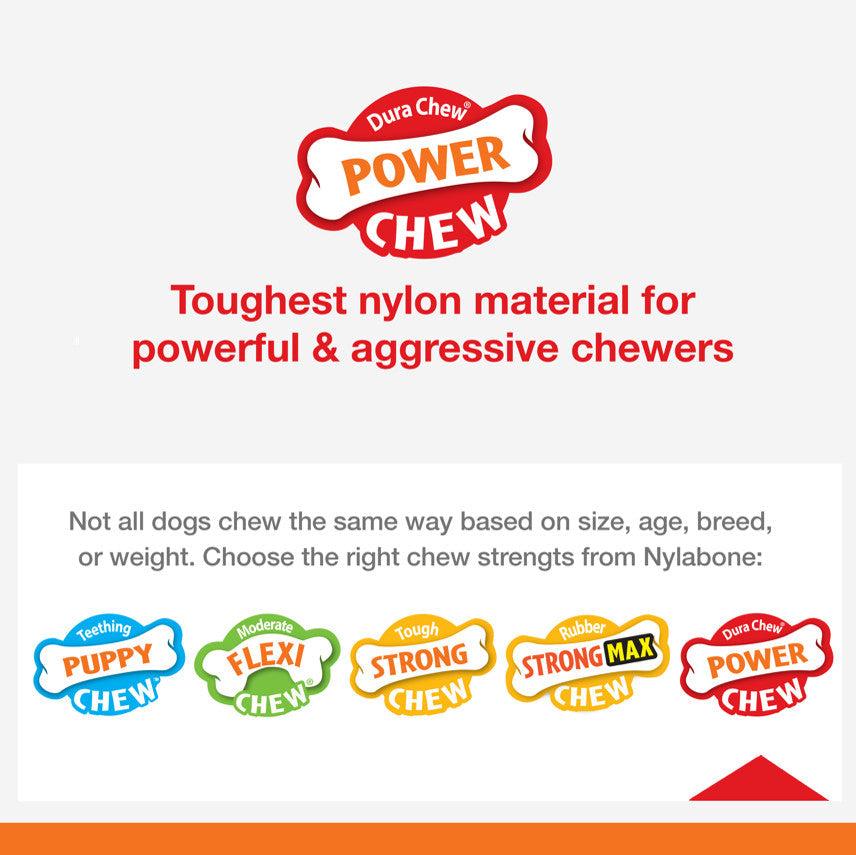 Nylabone Power Chew Original Wishbone Dog Toy Adult Dog Original