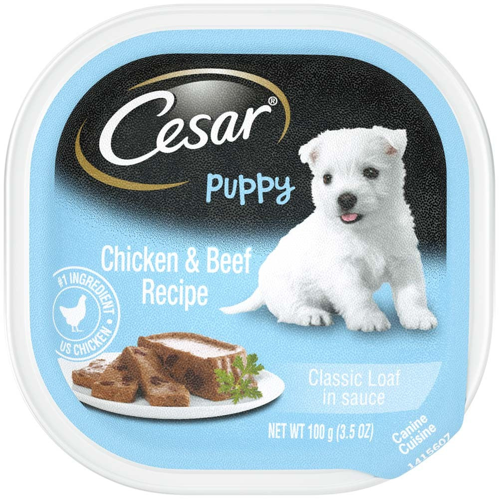 CESAR Puppy Chicken & Beef Wet Dog Food 24ea/3.5oz
