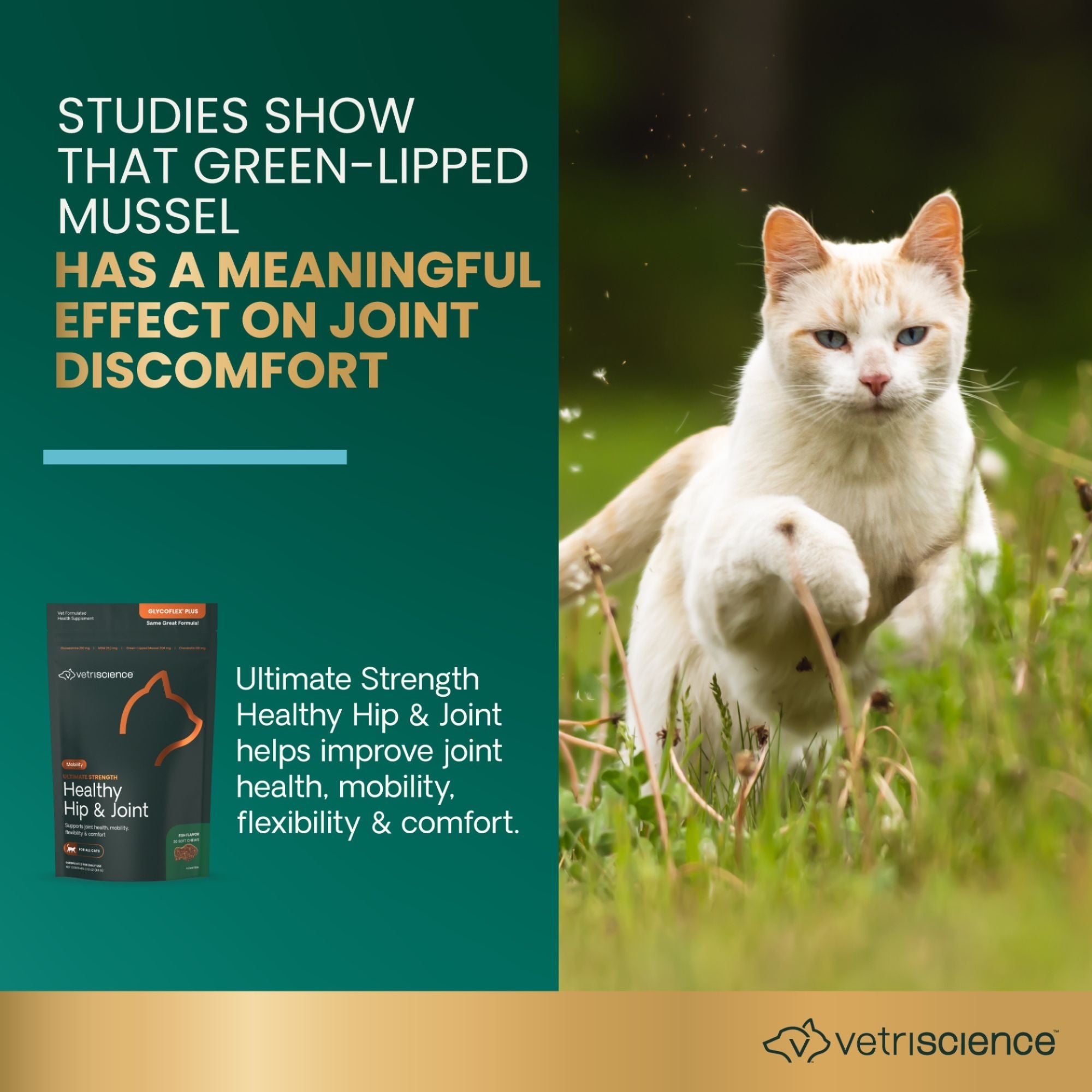 VetriScience Ultimate Strength Hip & Joint Chews for Cats