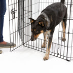 MidWest Homes for Pets Contour Exercise Pen w/ Door 1ea/24in.