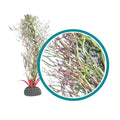 Weco Products Marine Pro Series Fine Branch Kelp Aquarium Plant Green, 1ea/6 in