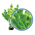 Weco Products Freshwater Pro Series Amazon Ruffled Sword Aquarium Plant Green, 1ea/24 in
