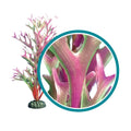 Weco Products Marine Pro Series Giant Kelp Aquarium Plant Red, 1ea/30 in, Giant