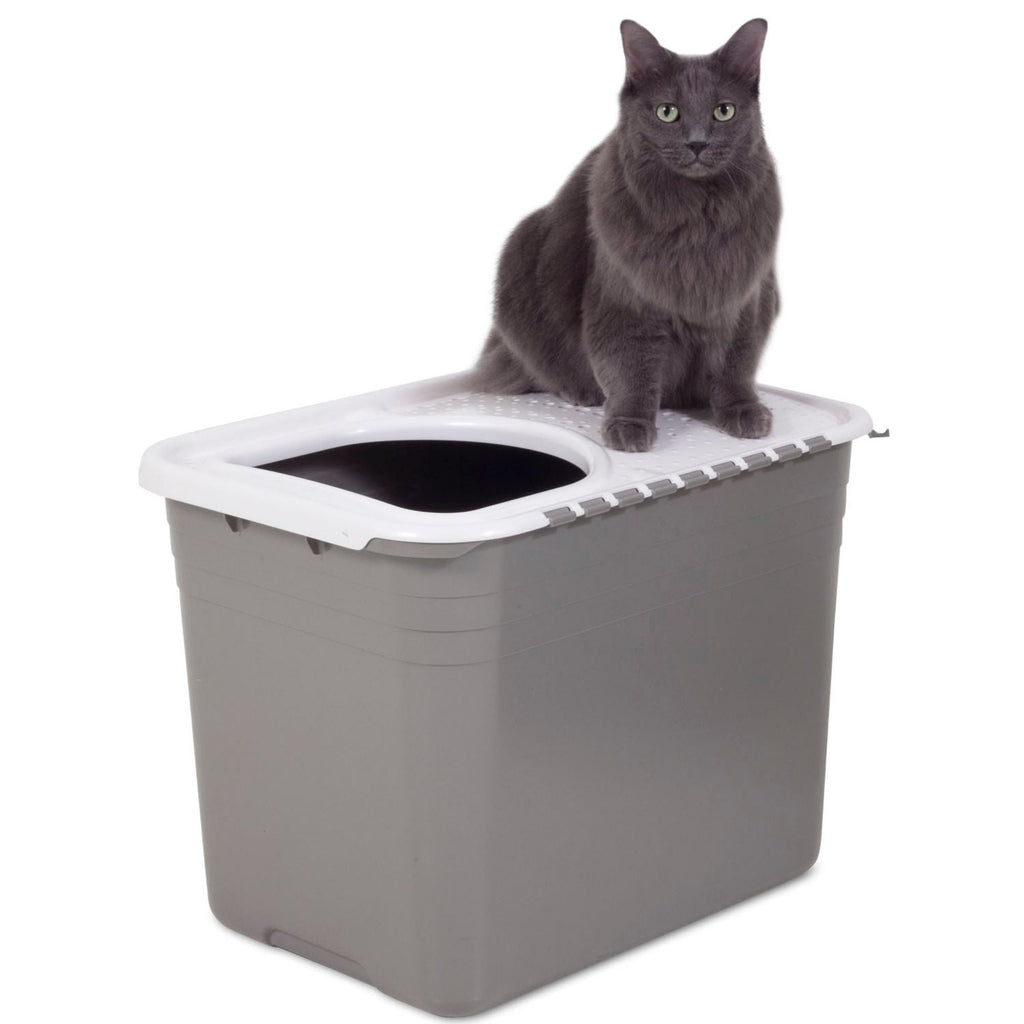 Petmate Top Entry Cat Litter Box Brushed Nickel Base, Pearl White Lid