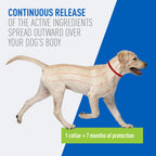 Adams Plus Flea & Tick Collar for Small Dogs
