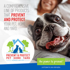 Adams Plus Flea & Tick Carpet Spray 16oz