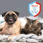 Adams Plus Flea & Tick Spray 16oz