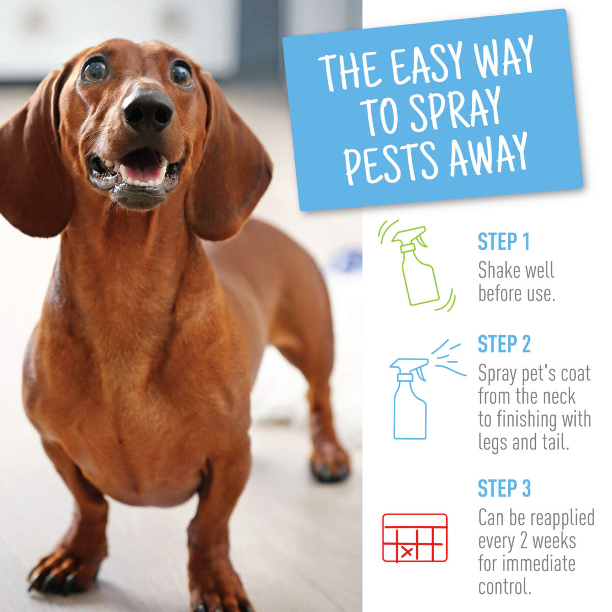 Adams Flea & Tick Spray for Dogs & Cats, 32 fl oz