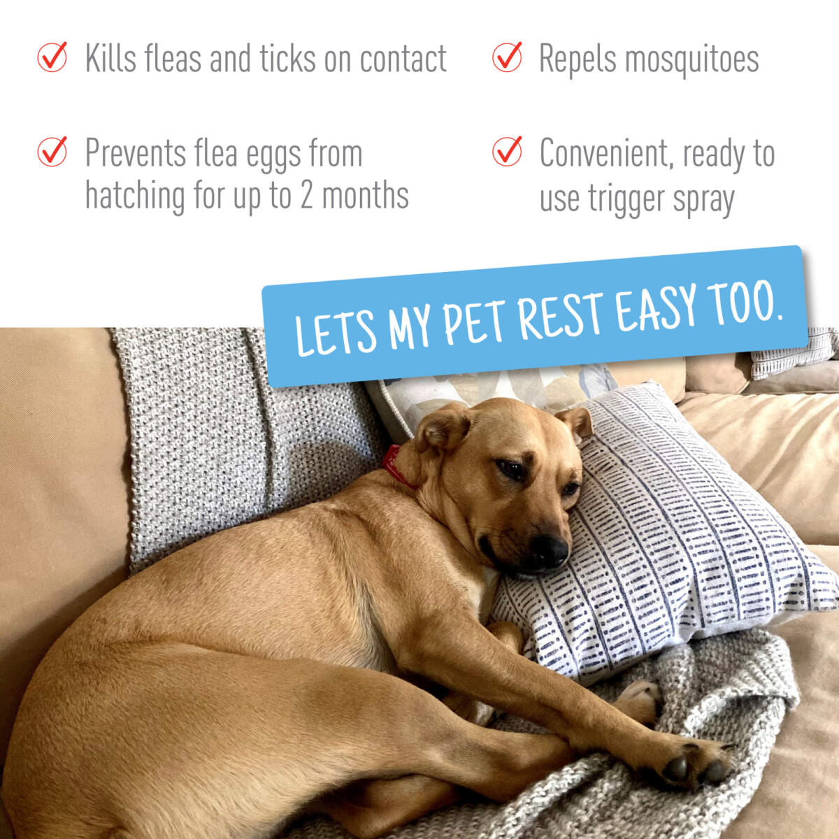 Adams Flea & Tick Spray for Dogs & Cats, 32 fl oz