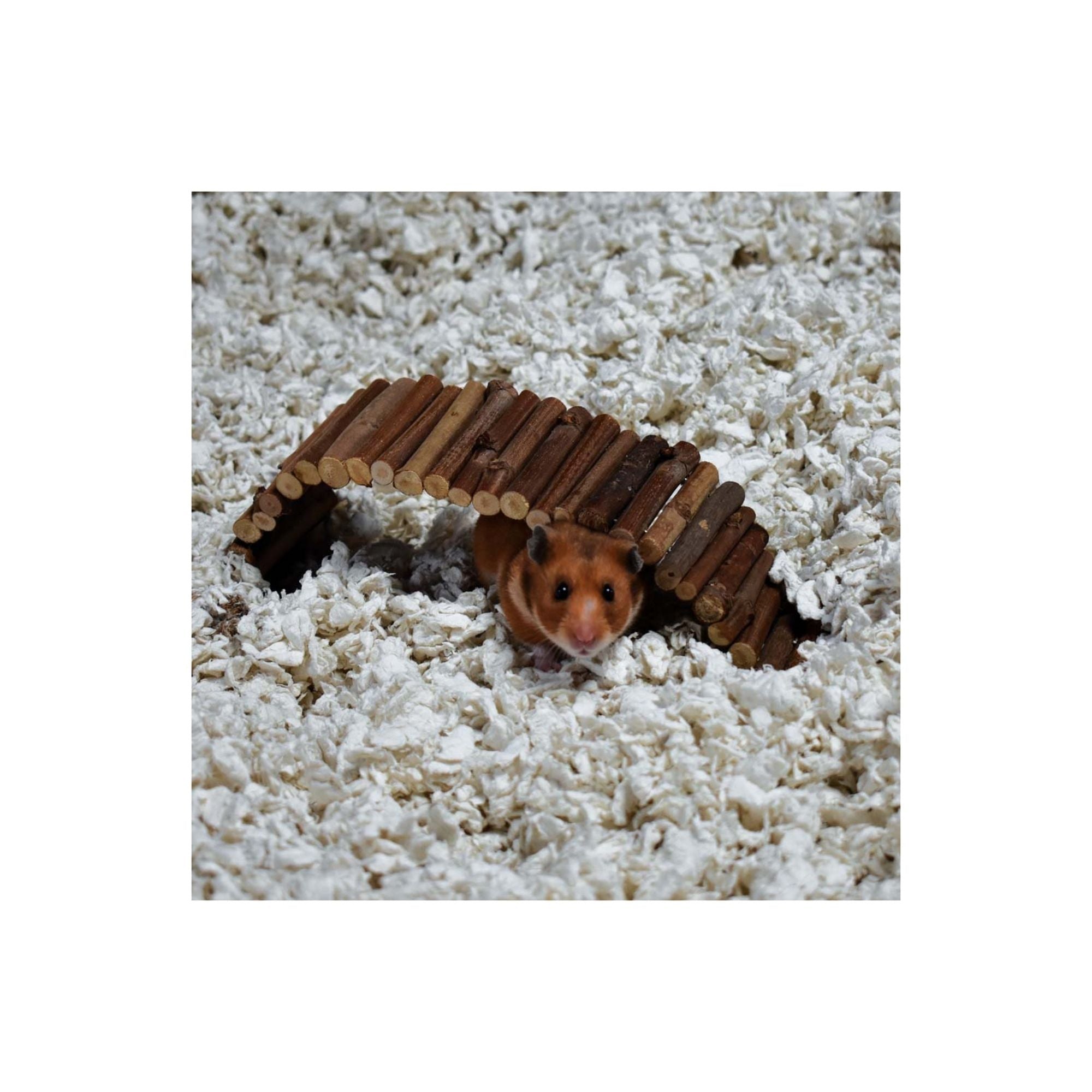 CareFRESH Complete Comfort Small Pet Bedding White 50 L