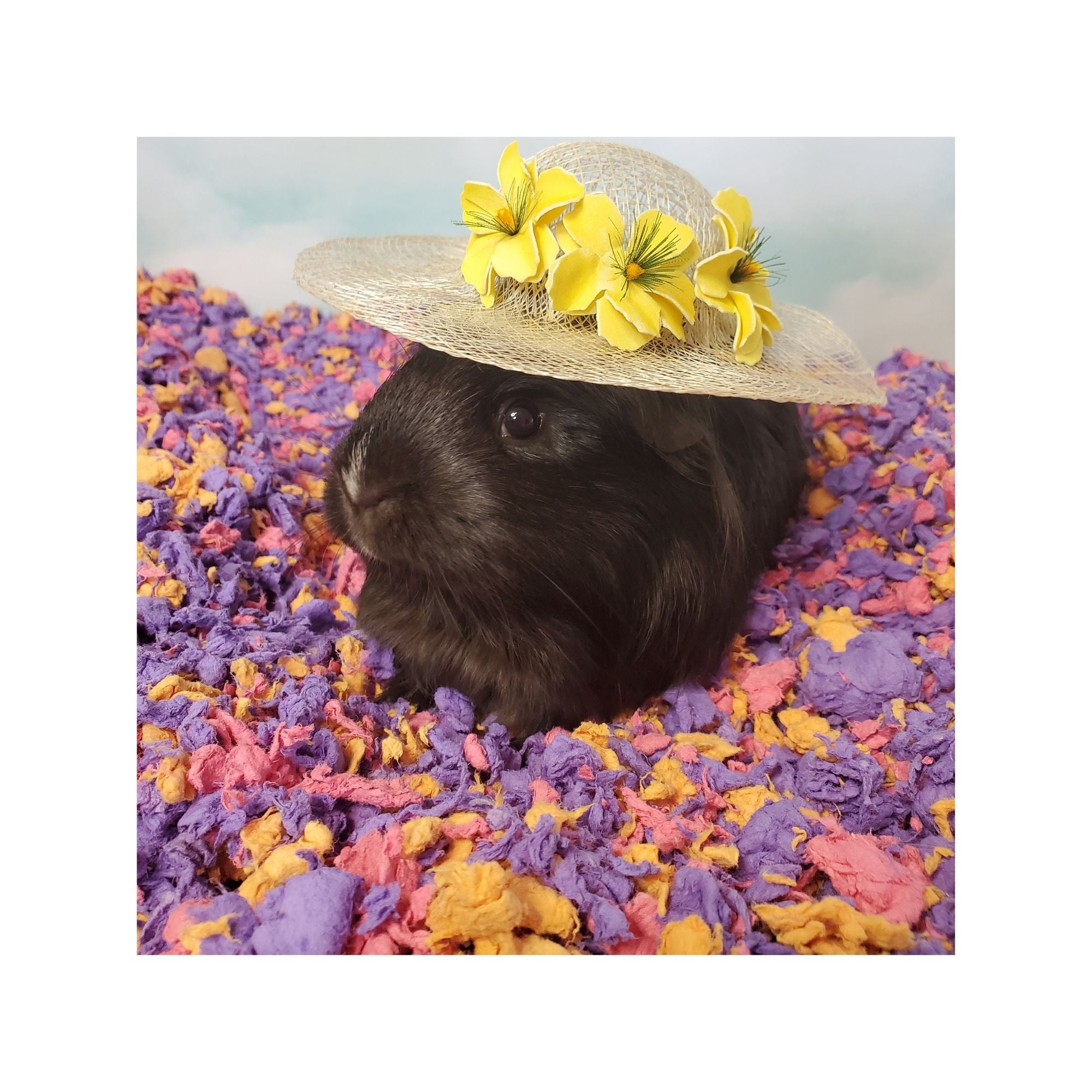 CareFRESH Special Edition Small Animal Bedding Beach Party 50 L