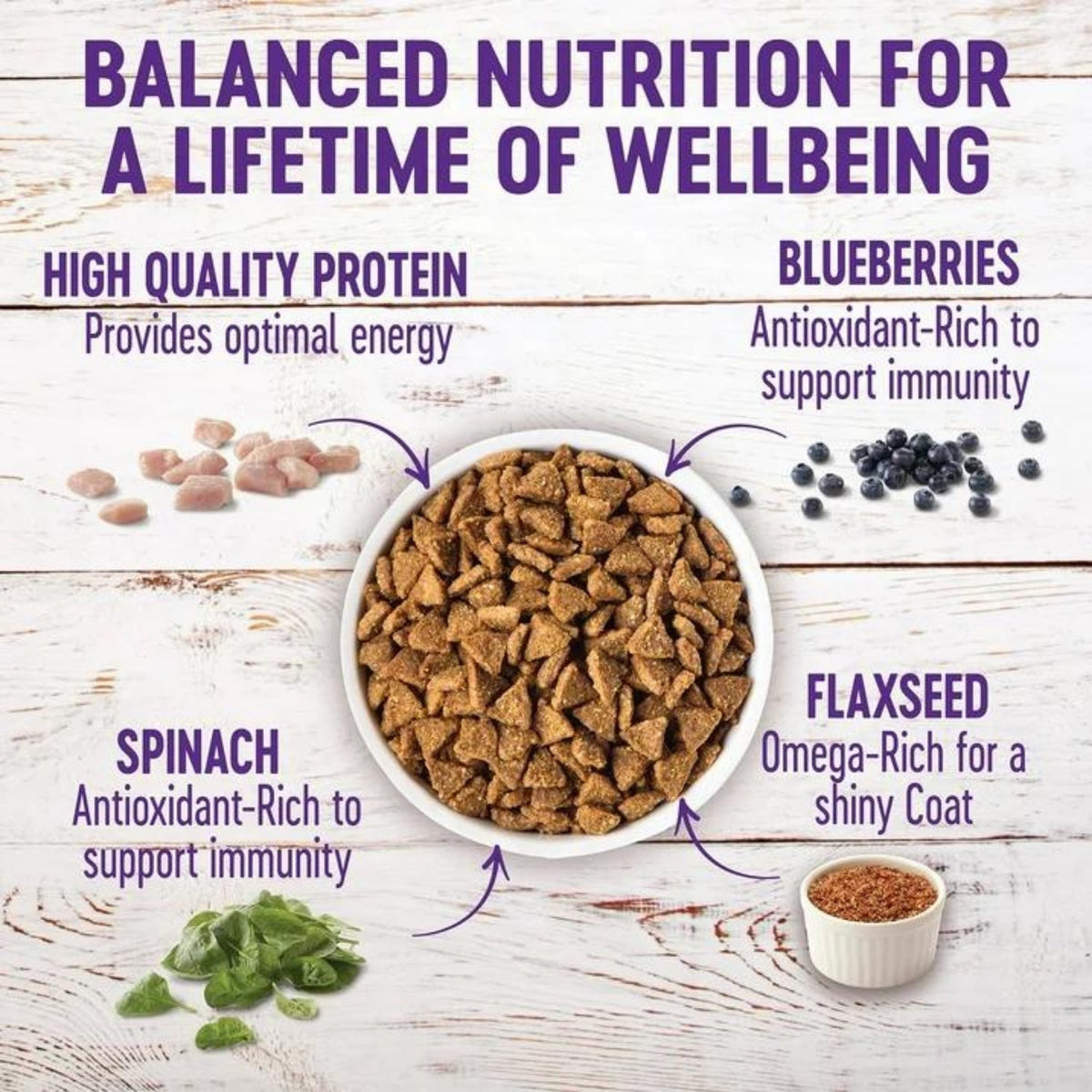 Wellness Dog Grain Free Small Breed 11Lb Turkey Chicken Salmon Complete Health