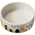 Spot Best Friends Dog Dish 5in
