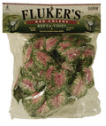 Fluker's Red Coleus Repta-Vines Green, Red 1ea/6 ft