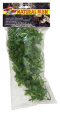 Zoo Med Natural Bush Congo Ivy Plants Green 1ea/14 in, SM
