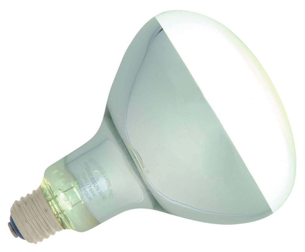 Zoo Med PowerSun UV SelfBallasted Mercury Vapor Lamp Silver, 1ea/160 W