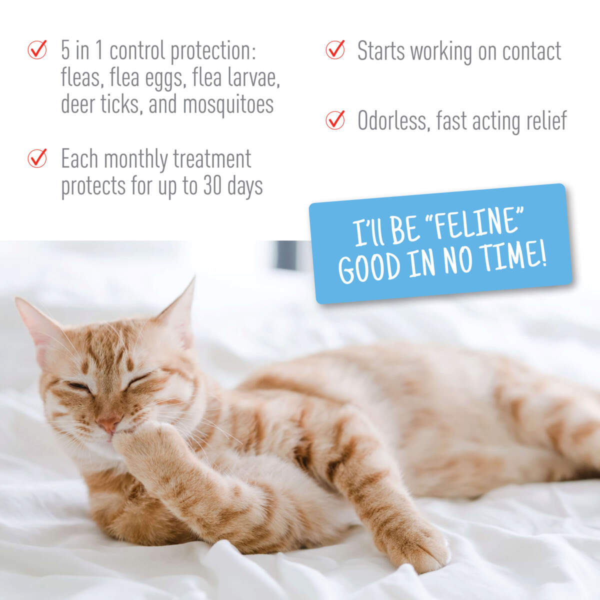 Adams Plus Flea & Tick Spot On for Cats Over 5 lbs, 3-Month Supply