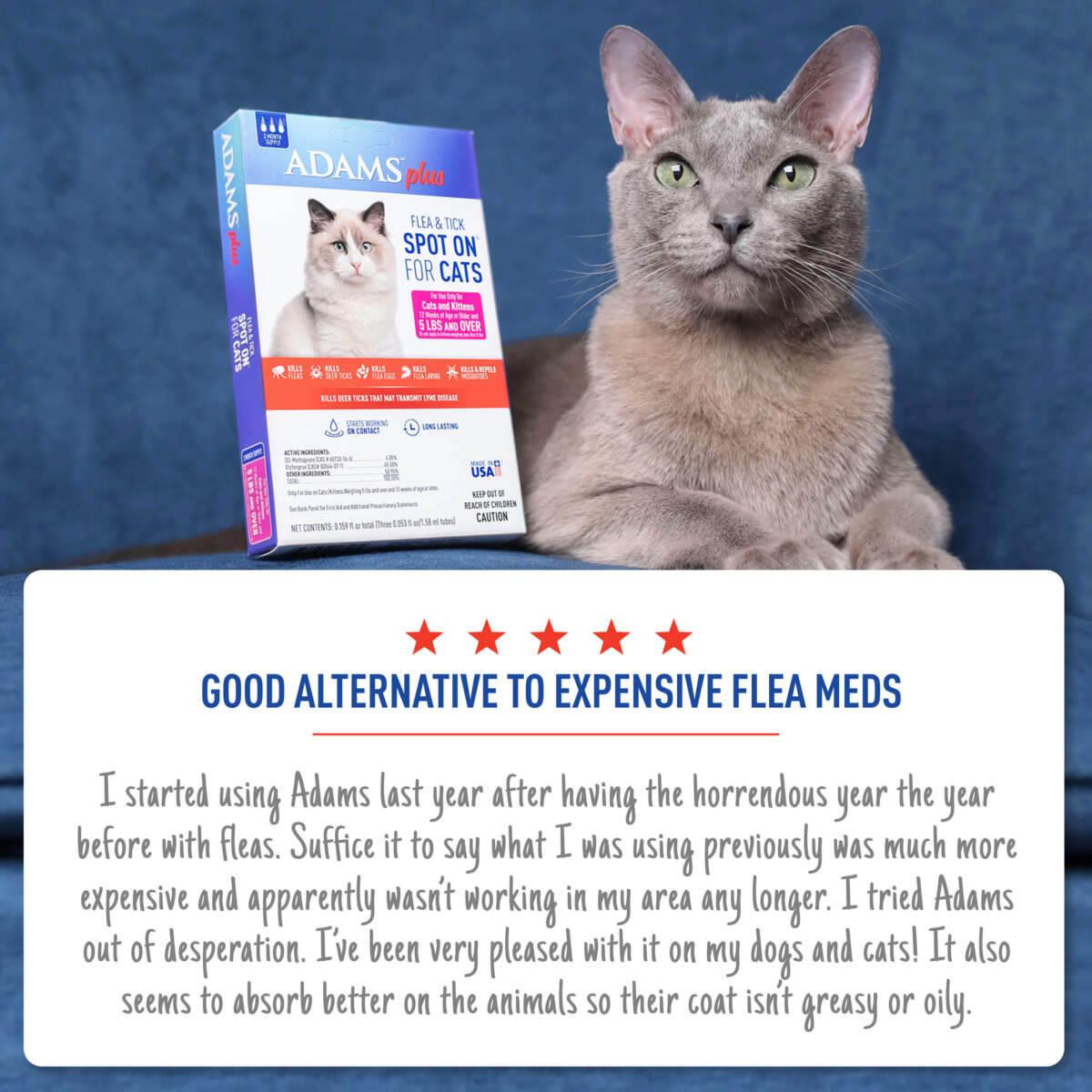 Adams Plus Flea & Tick Spot On for Cats Over 5 lbs, 3-Month Supply