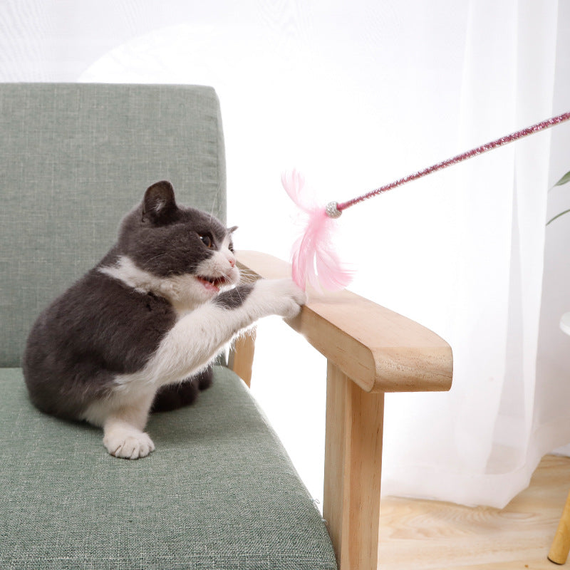 Natural Feather Wand Toy Set