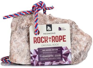 Redmond Rock on a Rope