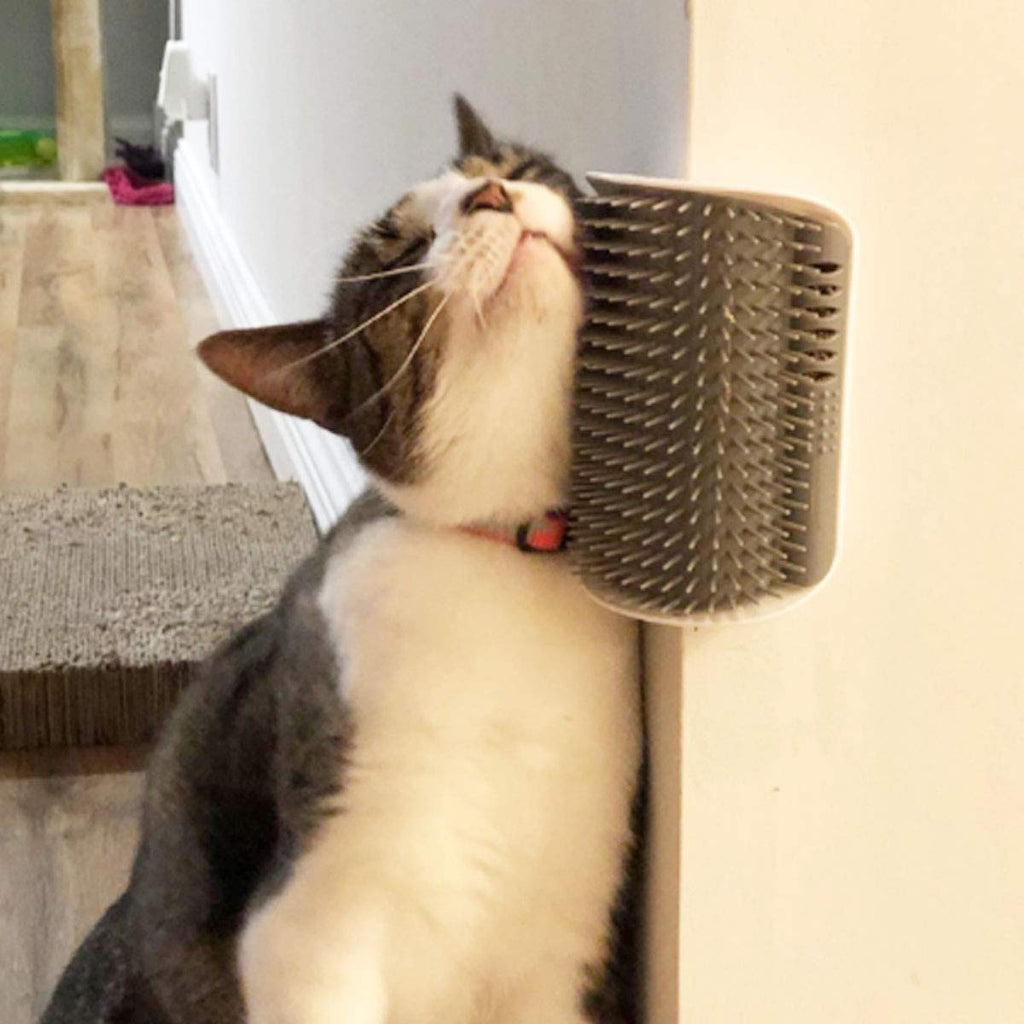 Corner Self-Groomer for Cats