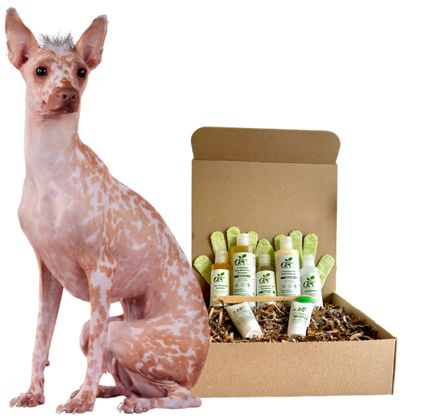 4-HAIRLESS PETS *DOG REGULAR KIT