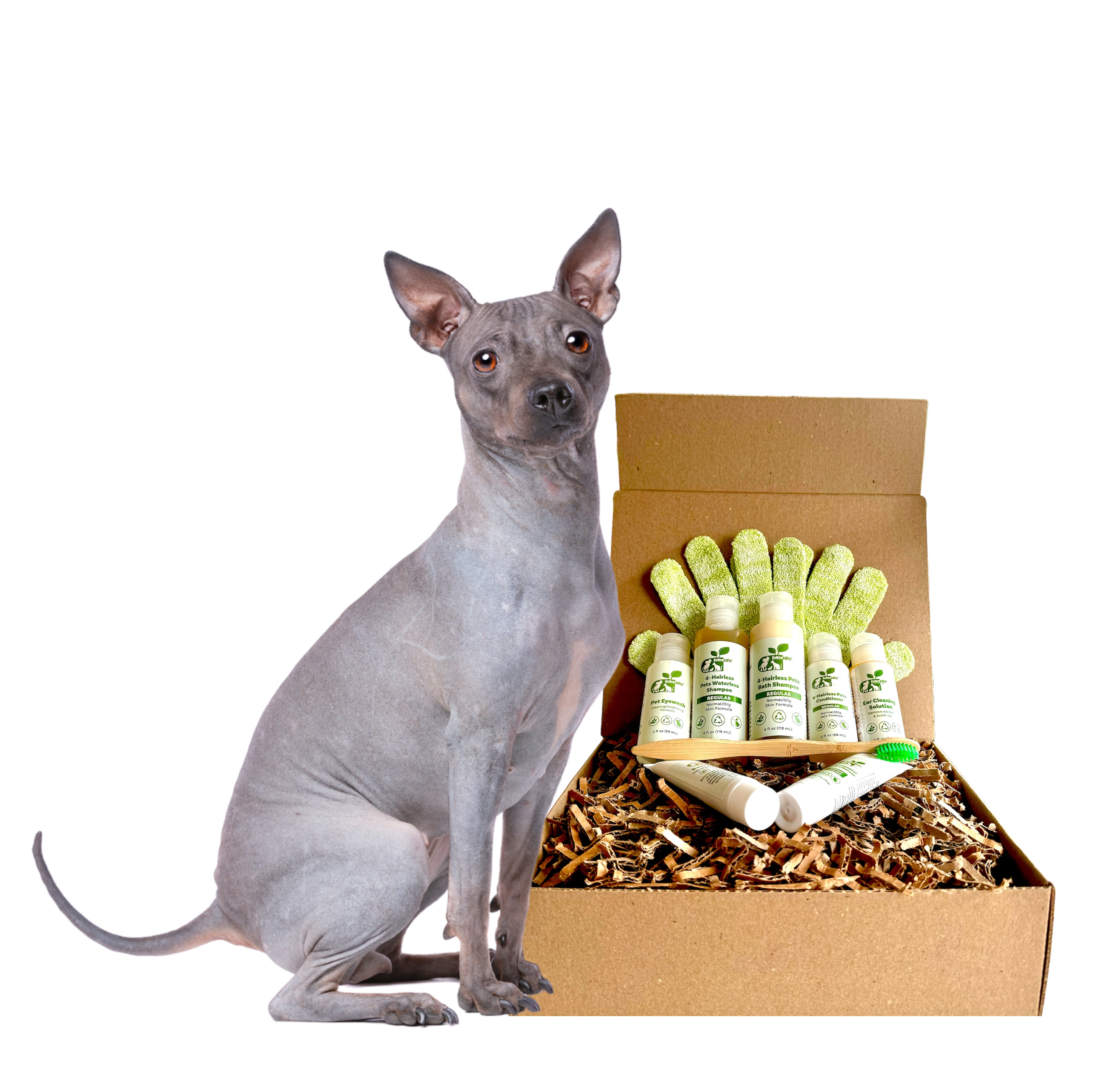 4-HAIRLESS PETS *DOG RESTORATIVE KIT