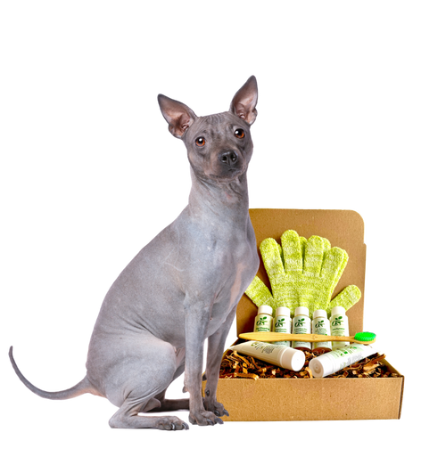 4-HAIRLESS PETS *DOG RESTORATIVE KIT