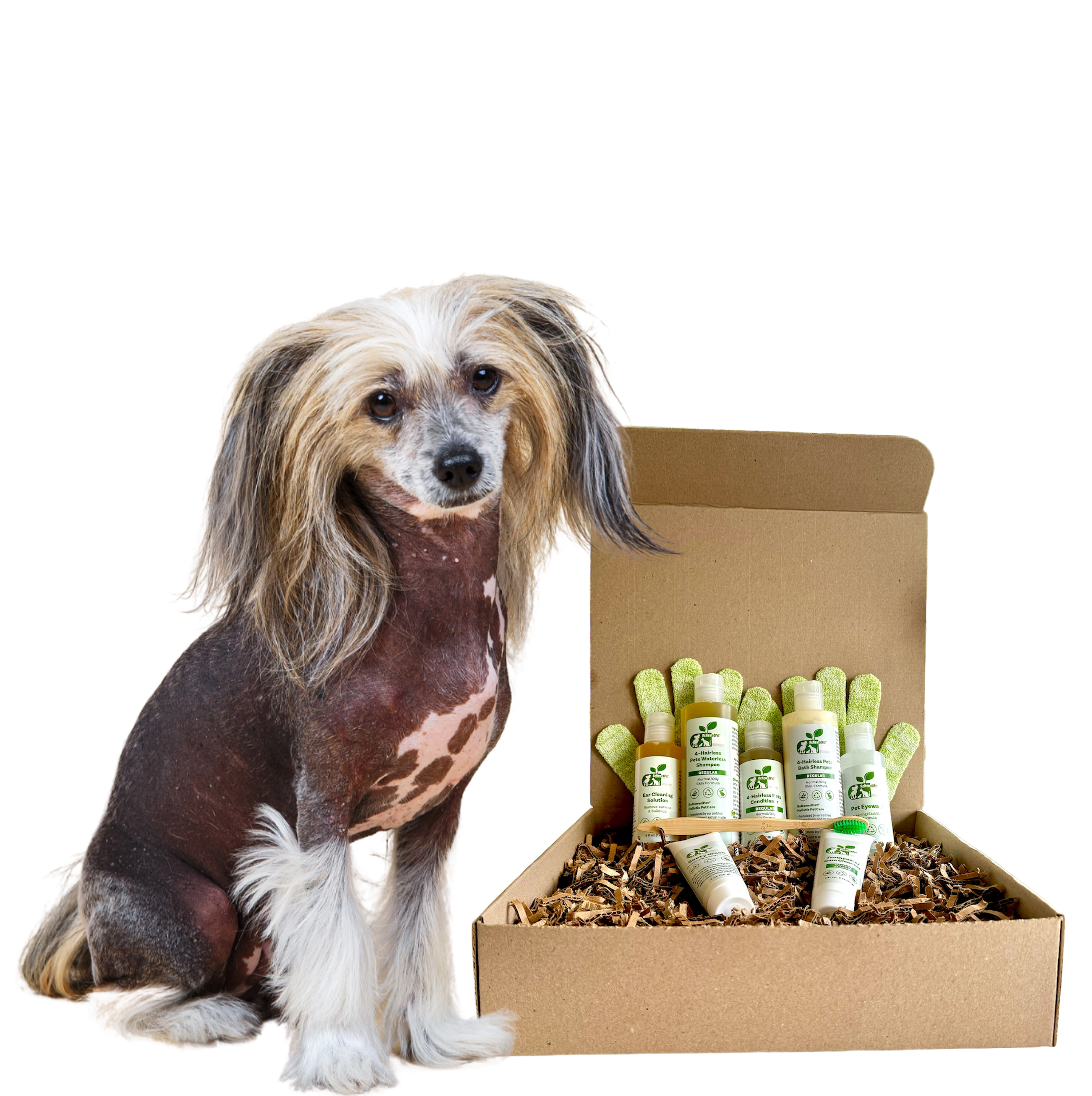 4-HAIRLESS PETS *DOG SENSITIVE KIT