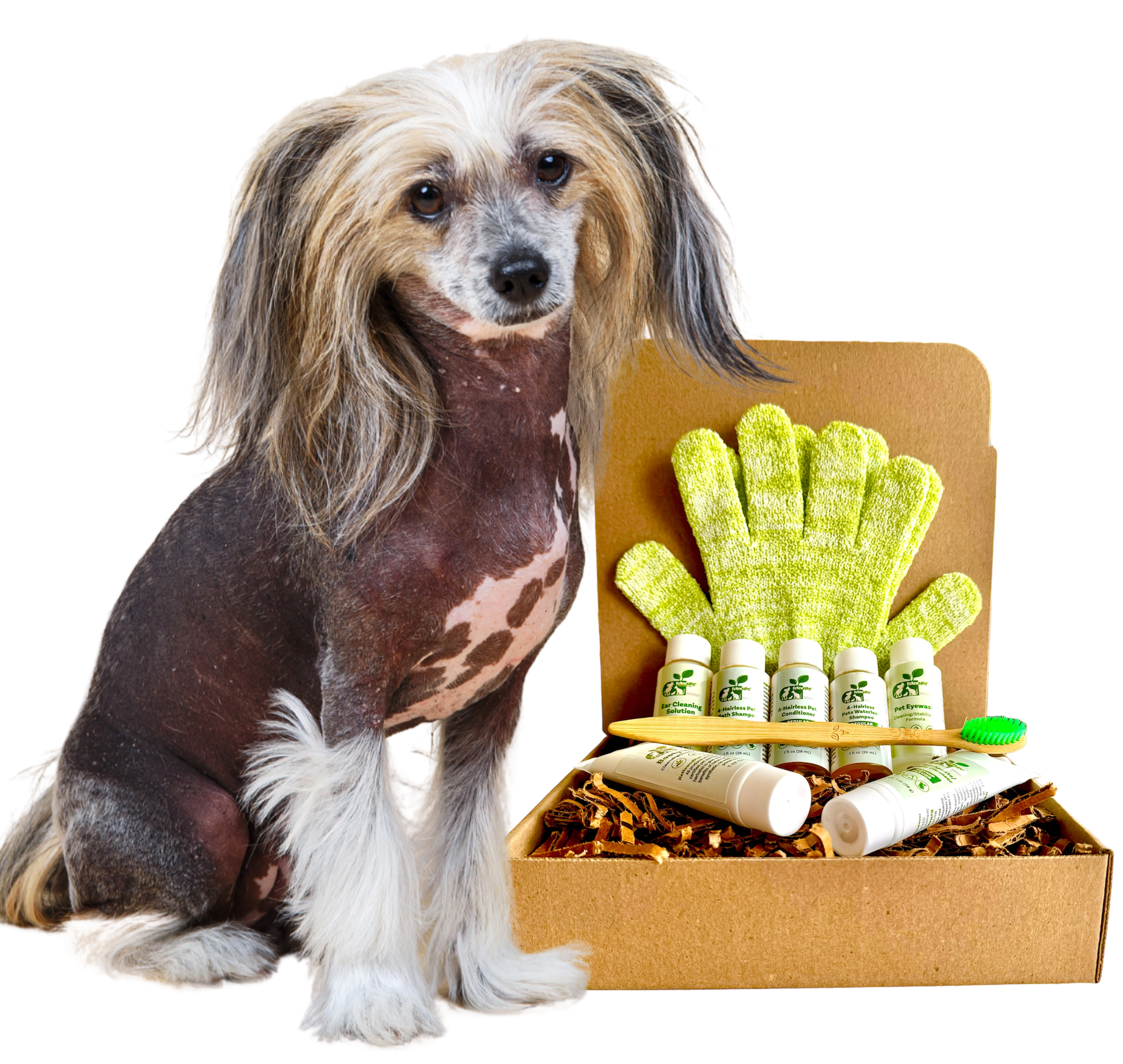 4-HAIRLESS PETS *DOG SENSITIVE KIT