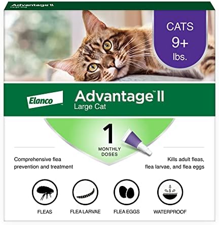 Advantage II Large Cat Flea Treatment