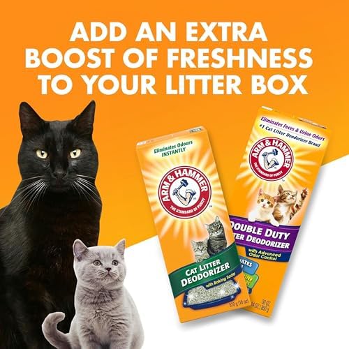 Arm & Hammer Double Duty Deodorizer