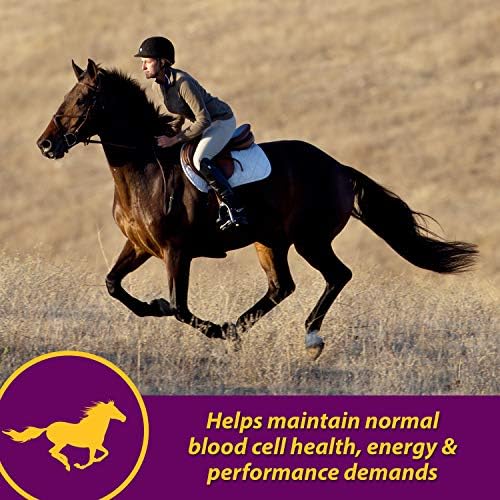 Farnam Red Cell Iron Supplement