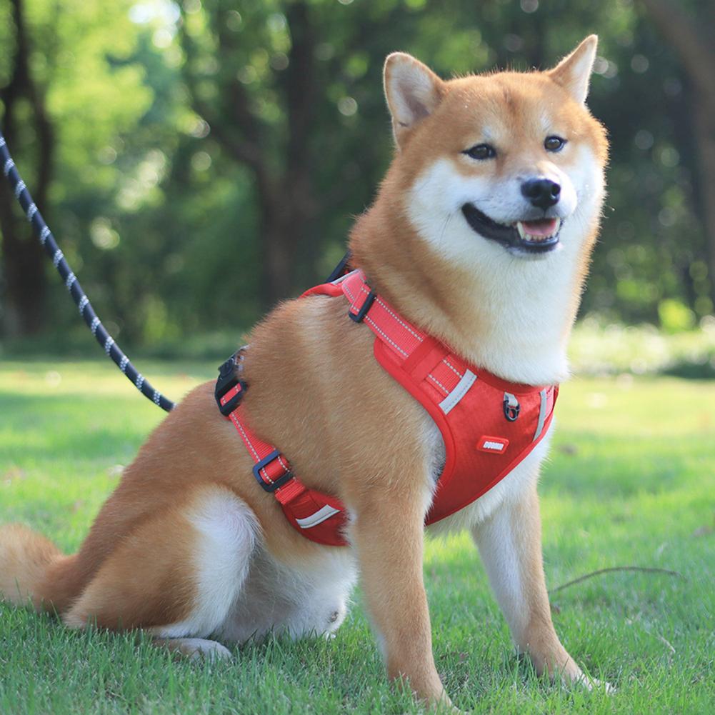 No-Pull Breathable Dog Harness