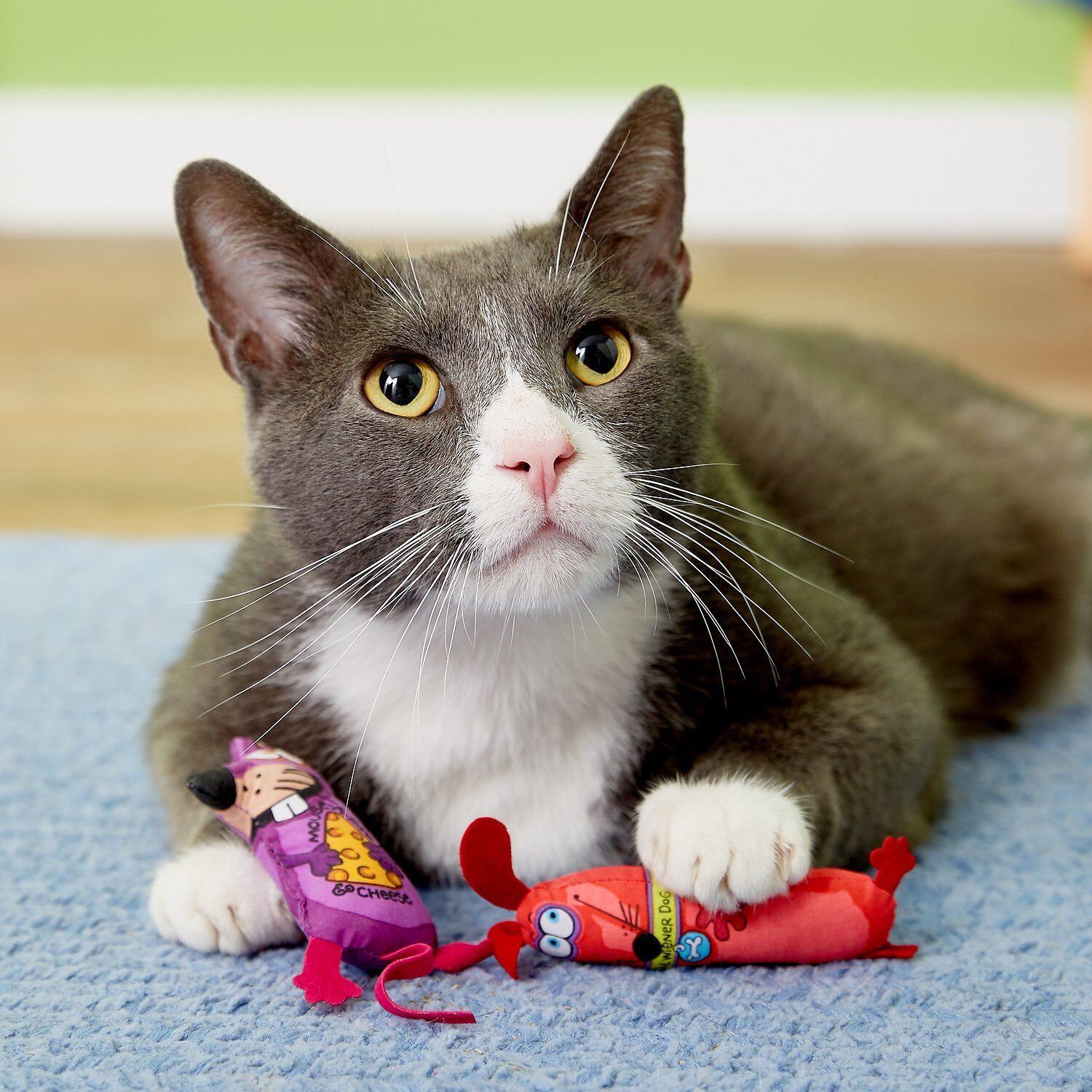 Fat Cat Classic Eeeks! Original Catnip Toy Assorted