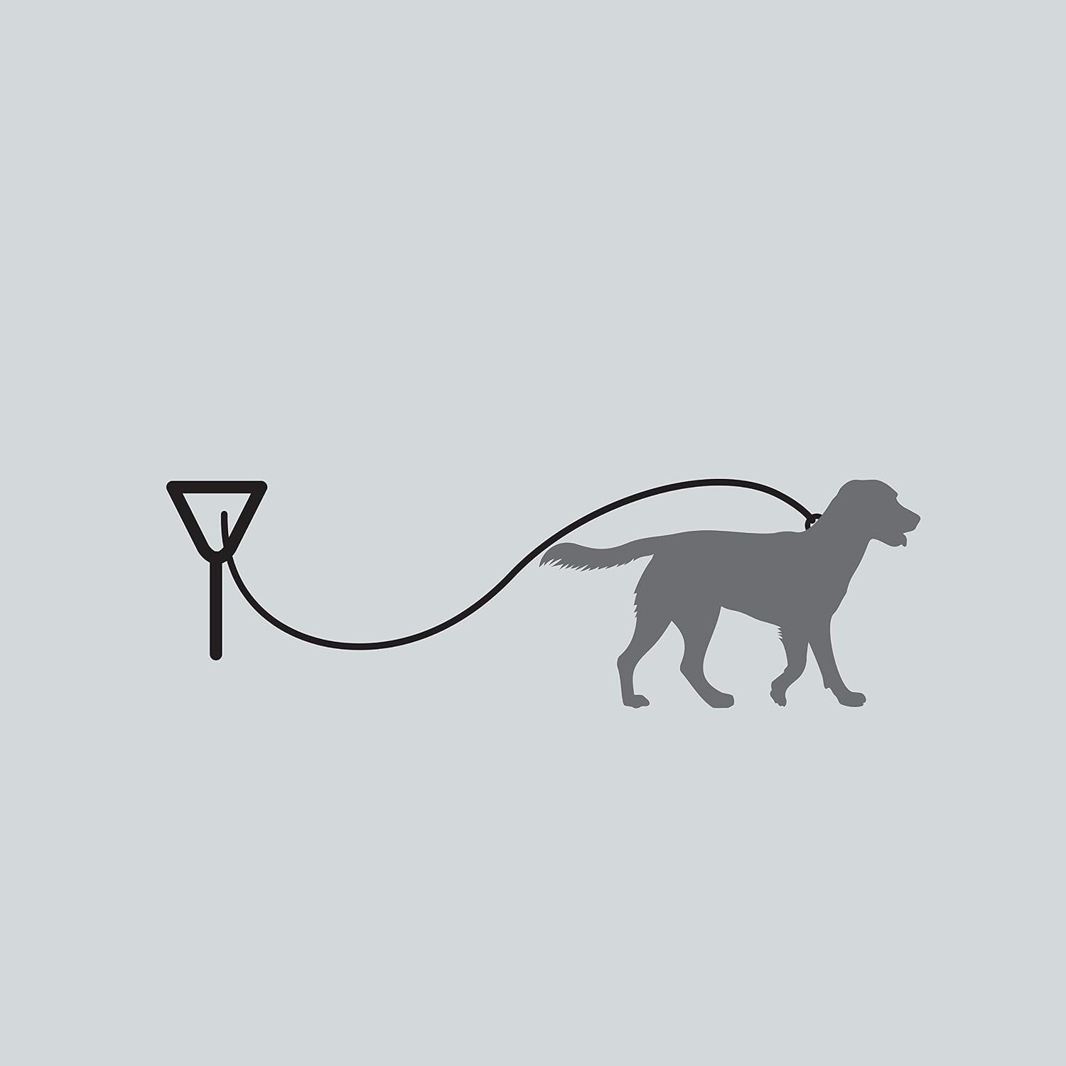 Four Paws Roam About Dog Tie-Out Stake