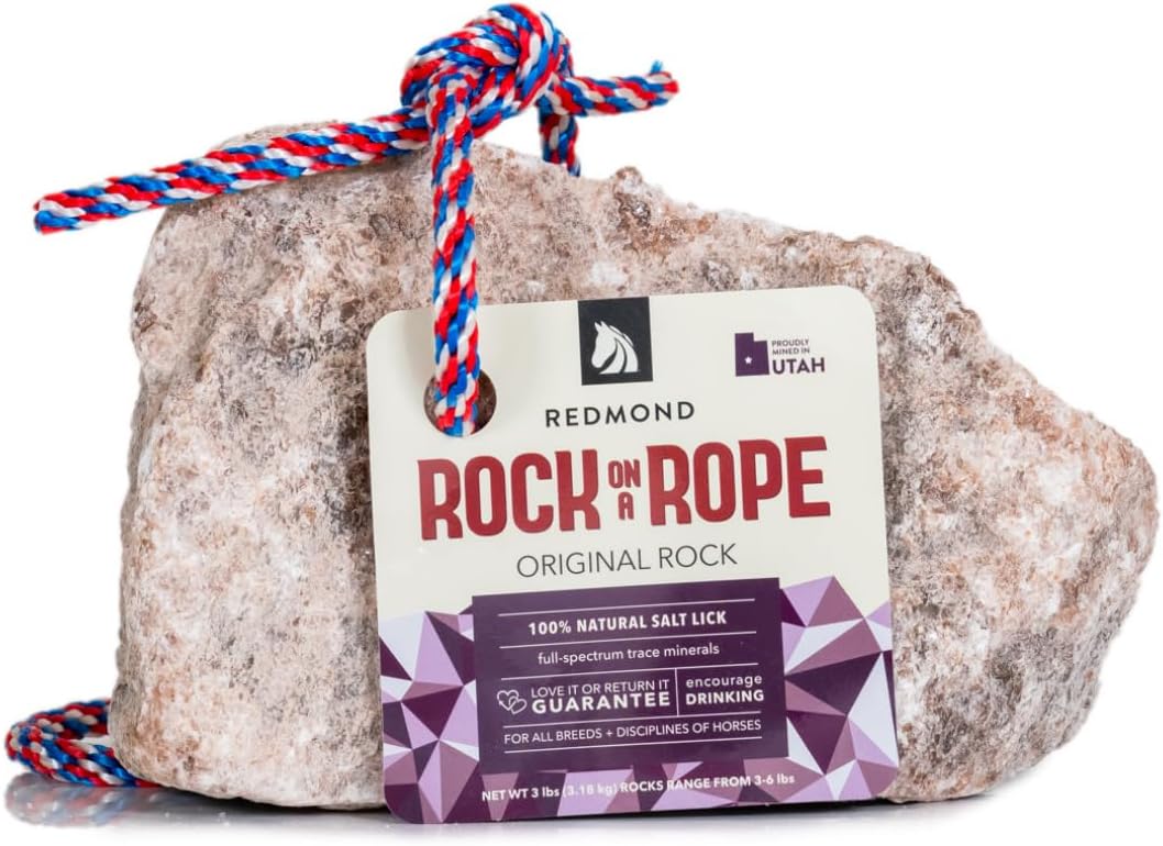 Redmond Rock on a Rope