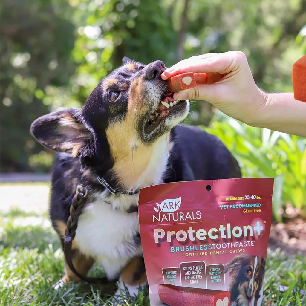 Ark Naturals Protection+ 5-in-1 Toothpaste Large Dog Chews, 18 oz