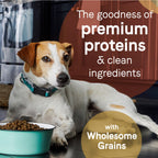 Pure Dog Food with Wholesome Grains Lamb/Brown Rice 4 Lb